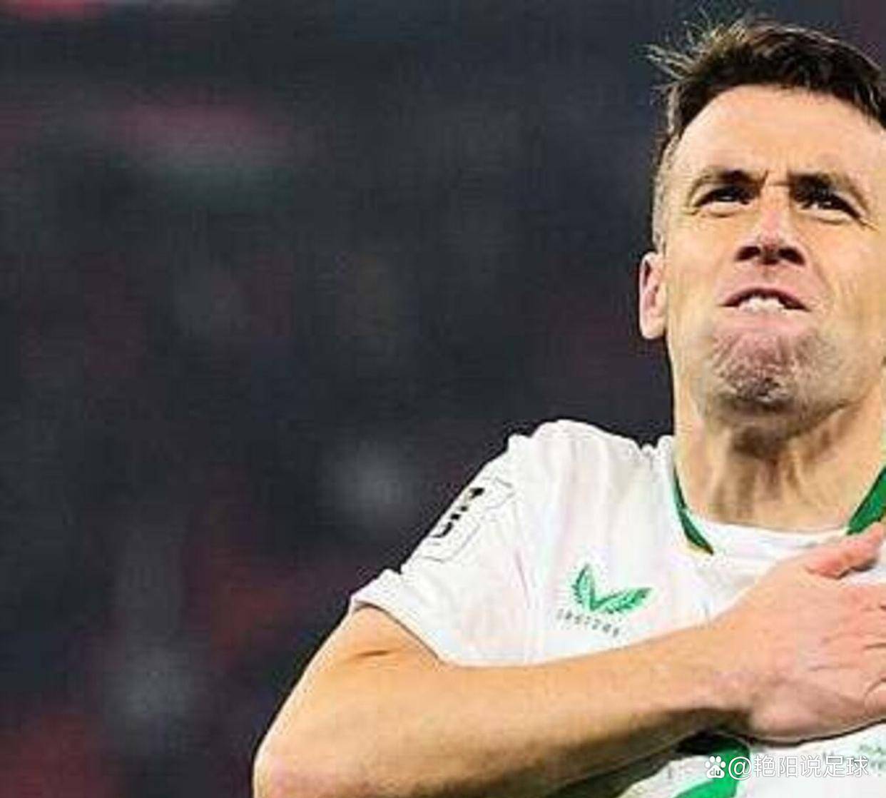 世界杯下注-老兵科尔曼(màn)的欣慰：愛(ài)尔兰的年轻人(rén)用(yòng)胜利回击了所有质疑